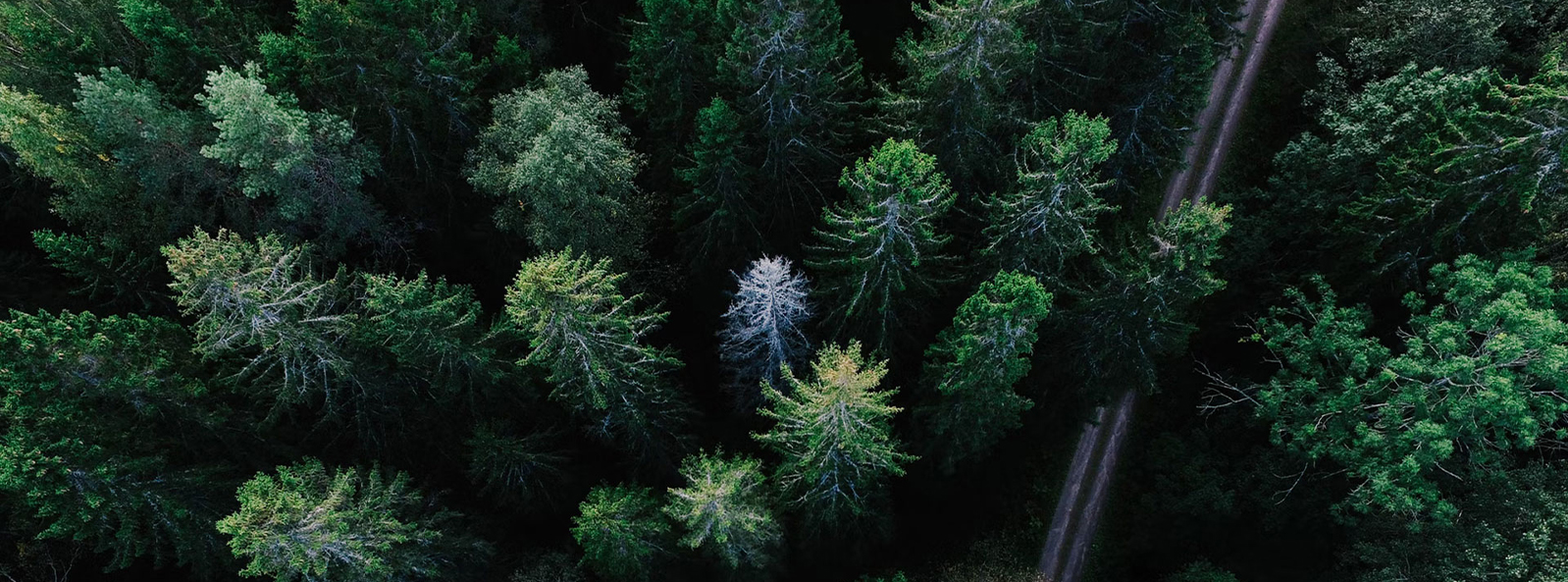 Công ty TNHH Công nghệ Dệt may Giang Tô Xiangyi (Tập đoàn)